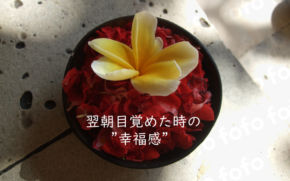 open,開店